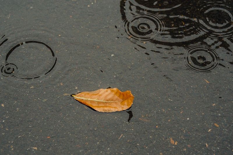 Дожди и плавное похолодание: когда изменится погода в Краснодарском крае