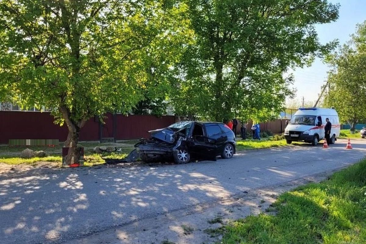 На Кубани 16-летняя водитель иномарки врезалась в дерево и погибла