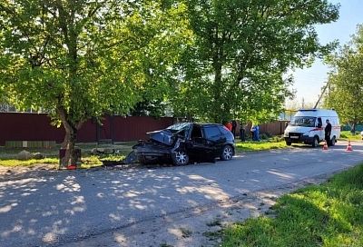 На Кубани 16-летняя водитель иномарки врезалась в дерево и погибла