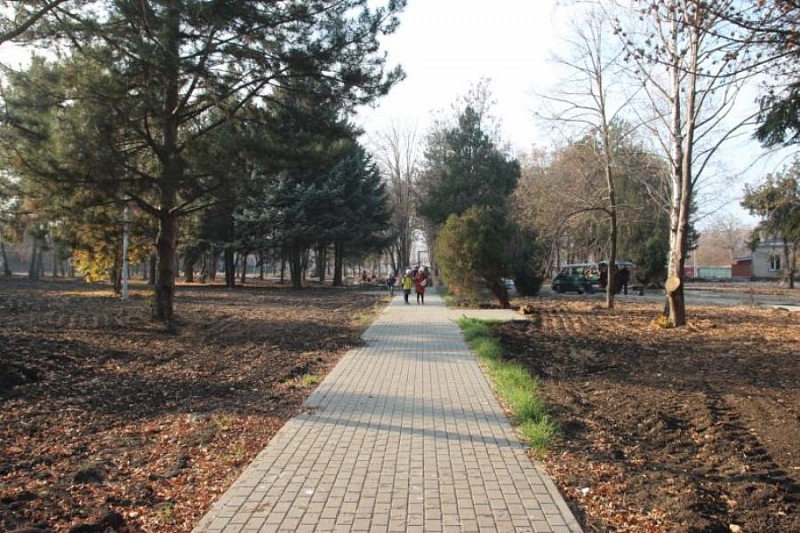 В Тимашевском районе в рамках нацпроекта полностью обновят станичный парк