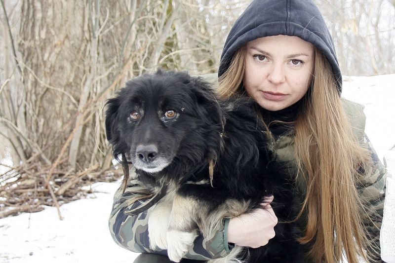 В чем уникальность проекта по спасению животных, который запустили волонтеры из Краснодарского края