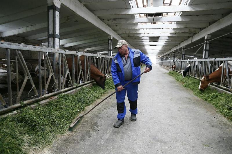 На поддержку фермеров в Краснодарском крае выделено 118 млн рублей