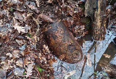 Эхо войны: жители Горячего Ключа нашли в лесу авиабомбу времен Великой Отечественной