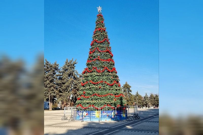 В Ленинградском районе «унылая» елка преобразилась после критики главы