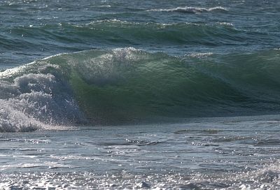 ВС Румынии уничтожили украинский морской дрон в Черном море