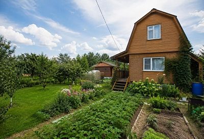 Владельцы дач отказываются от больших огородов: почему россияне меняют отношение к участкам