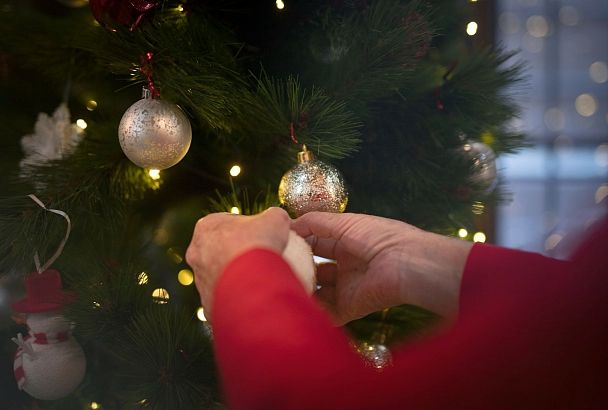 Новогодняя ёлка с украшениями подорожала на 11%