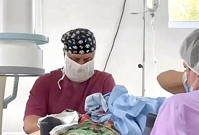 Владимир Крушельницкий: «Высокотехнологичная медицинская помощь в районах Кубани становится доступнее»