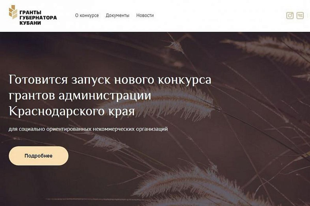 Электронная платформа «Гранты губернатора Кубани» запущена в крае