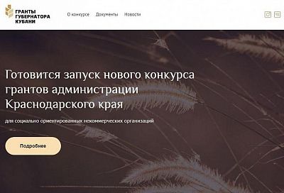 Электронная платформа «Гранты губернатора Кубани» запущена в крае