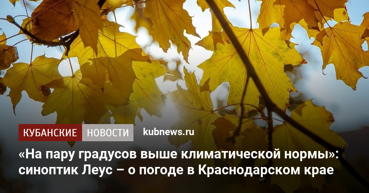 «На пару градусов выше климатической нормы»: синоптик Леус – о погоде в Краснодарском крае