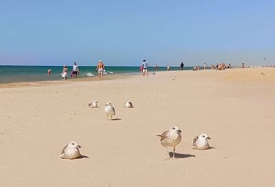 Жители Кубани могут поучаствовать в создании клипа к песне об Анапе