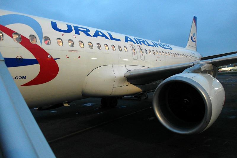 Летевший из Краснодара самолет срочно сел в Екатеринбурге после столкновения с птицей