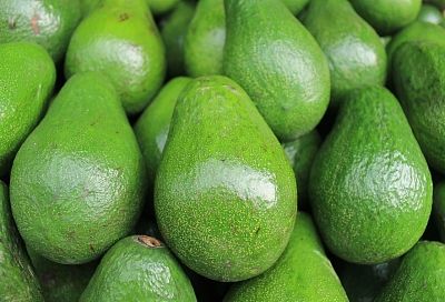 Пять секретов выбора идеального авокадо
