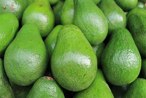 Пять секретов выбора идеального авокадо