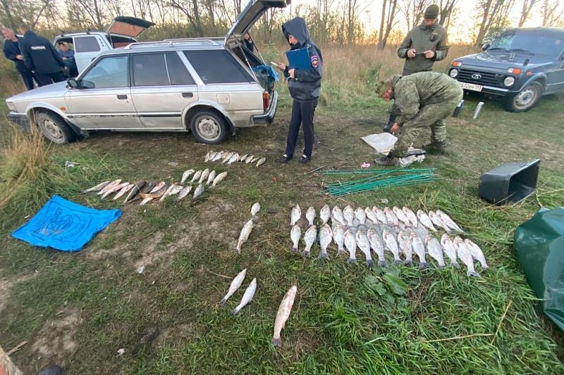 На Кубани в заказнике поймали браконьеров с крупным уловом рыбы