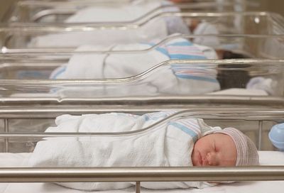 В Краснодарском крае впервые за четыре года отмечается повышение рождаемости
