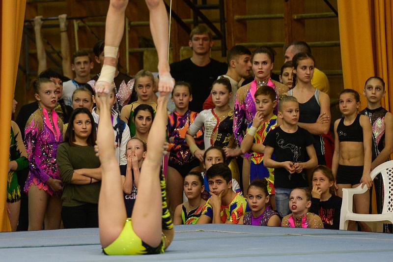 Спортивная акробатика краснодар. Акробатика на Мачуги Краснодар. Школа акробатики Краснодар Мачуги. Школа спортивной акробатика Краснодар. Спортивная акробатика соревнования Мачуга.