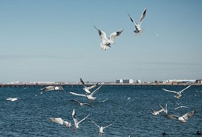 Ливни охладили Черное море у побережья Кубани