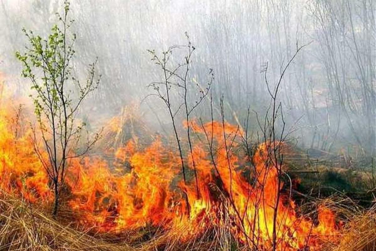 В лесах Северского района обнаружен новый очаг возгорания