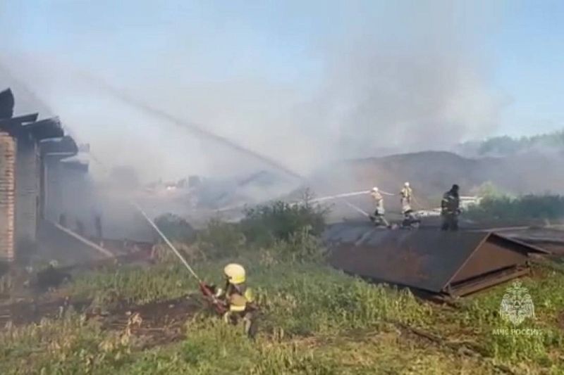 На Кубани потушили пожар на складе с шелухой подсолнечника
