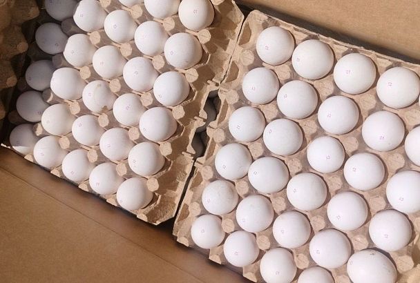 Более 1,3 млн яиц поступило за неделю в Россию через порт Новороссийска