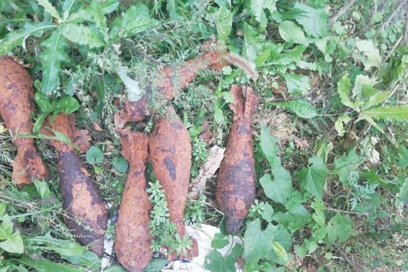 В Краснодарском крае росгвардейцы уничтожили 8 боеприпасов времен войны  