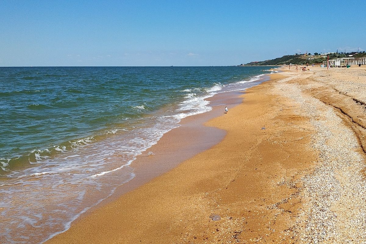 В Азовском море могут исчезнуть привычные биоресурсы. Ученые назвали причину