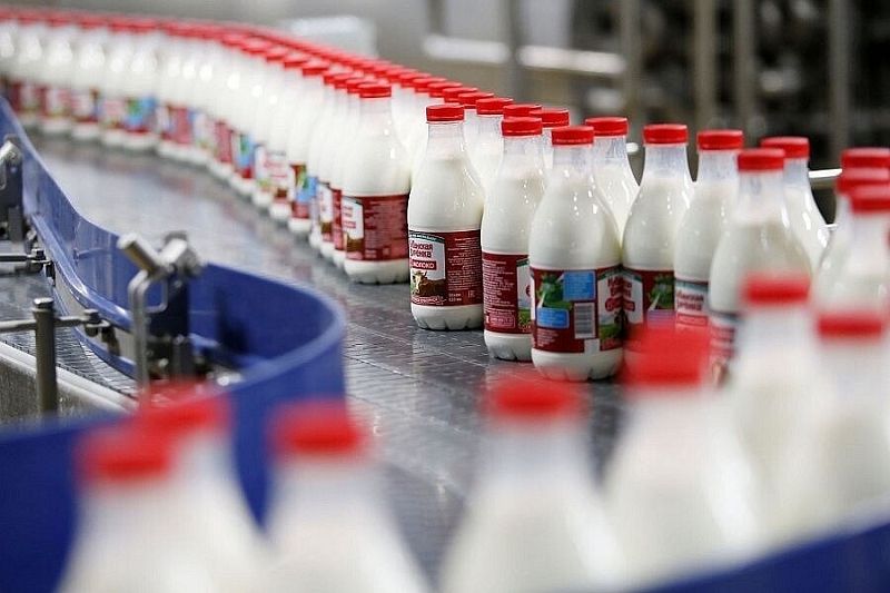 Краснодарский край с начала года произвел свыше миллиона тонн молока