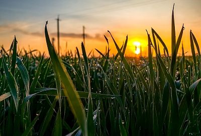 Запрет на въезд в США для мигрантов и встреча Орбана с Путиным: что произошло в мире к утру 28 ноября