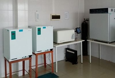 Бактериологическую лабораторию оснастили в больнице Кущевского района в рамках нацпроекта 