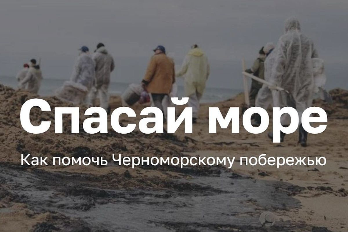 «Спасай море»: на Кубани запустили единый информационный портал помощи Черноморскому побережью 