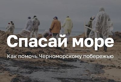 «Спасай море»: на Кубани запустили единый информационный портал помощи Черноморскому побережью 