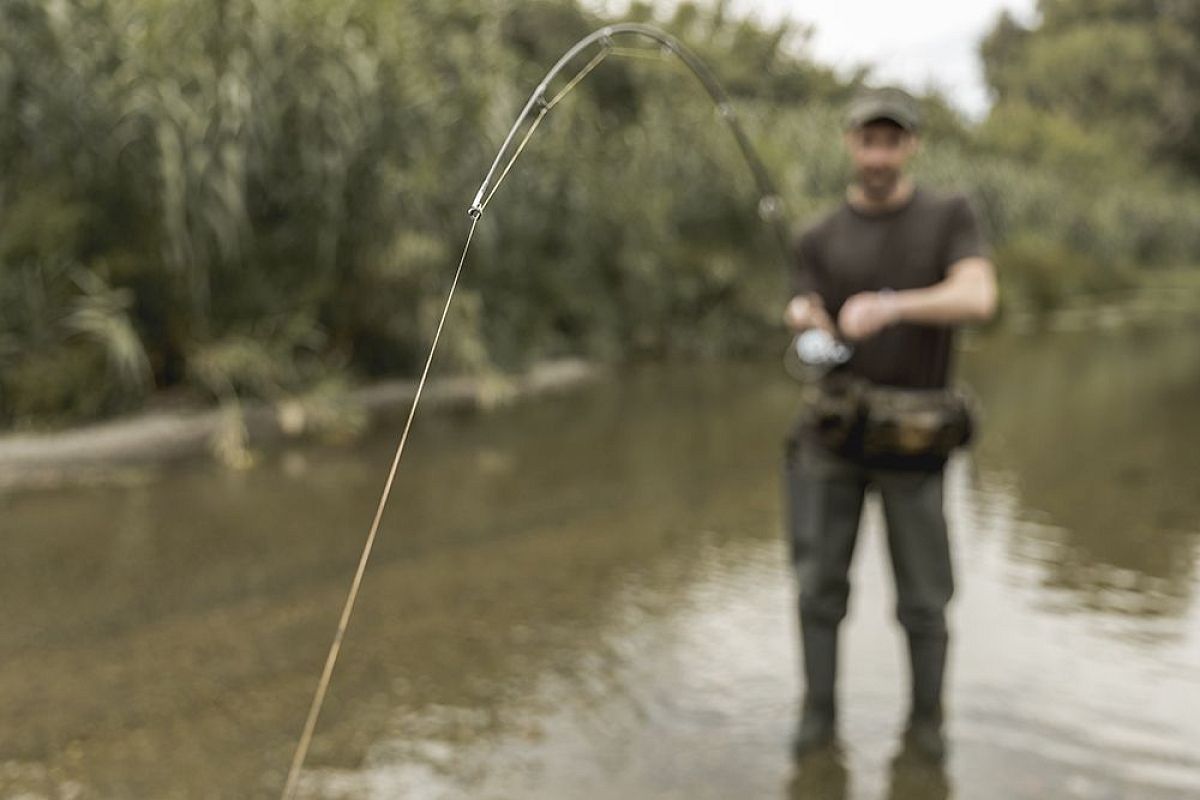Внимание рыбакам! Массовый вылет подёнки 8-20 июля 2025: как поймать трофей от 5 кг — такой шанс раз в году