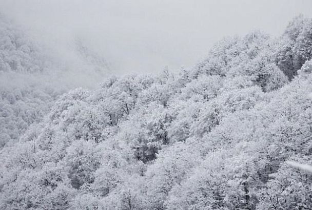 Сугробы вырастут: мощный снегопад накроет горные склоны под Сочи