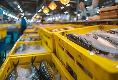 Росрыболовство выступило категорически против введения экспортных пошлин на рыбу