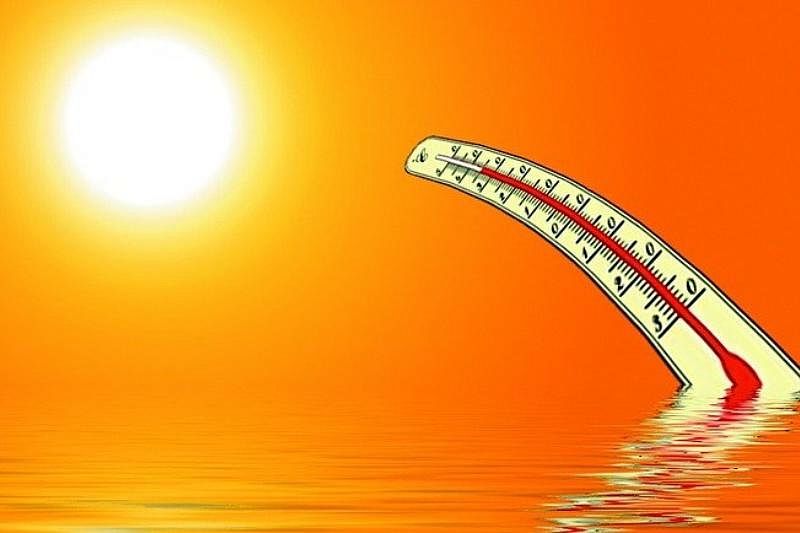 Утомленная солнцем. На Кубани к концу недели столбики термометров могут подняться до плюс 39 градусов
