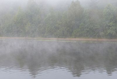 Народные приметы на сегодня – 1 апреля, что можно и нельзя делать в день Дарьи Грязной
