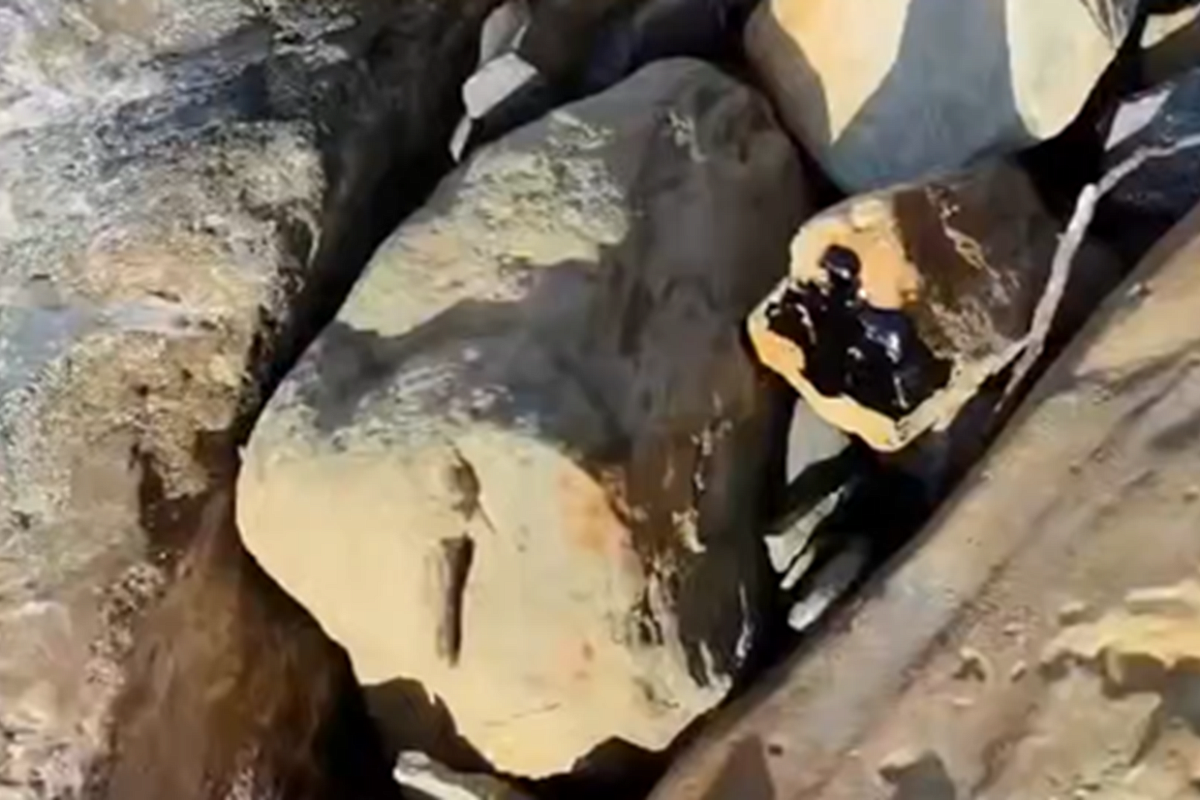 Точечные выбросы мазута зафиксированы на одном участке побережья Анапы