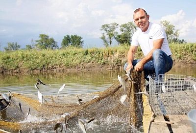Рыбоводство с привесом: кубанский агросектор прирастает уловами
