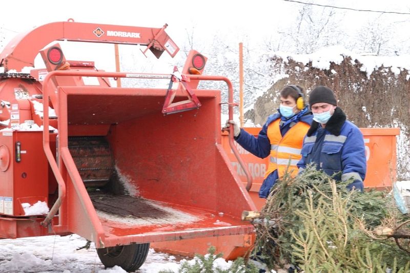 Вторая жизнь новогодней елки: краснодарцы могут сдать деревца на переработку