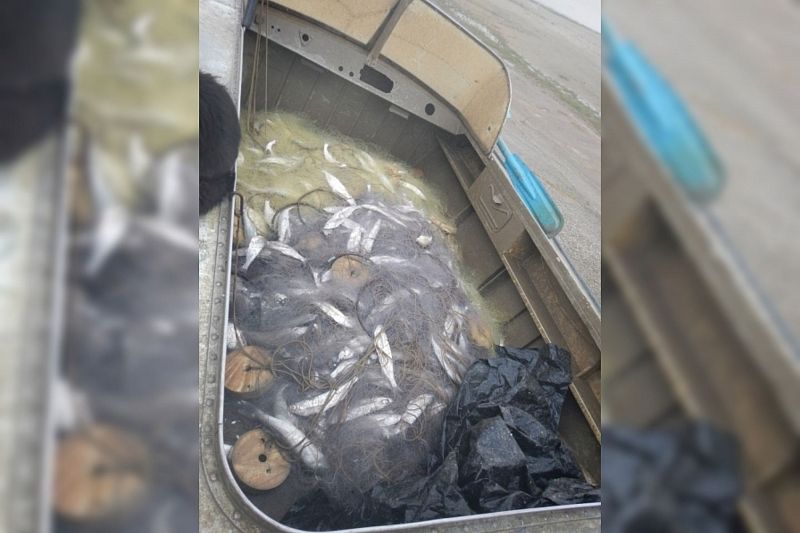 Полицейские задержали браконьера за рыбалку на 900 тыс. рублей