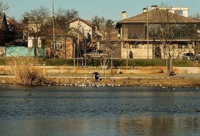 Зимнее потепление выходит на пик: ноябрь заглянет на день в Краснодарский край