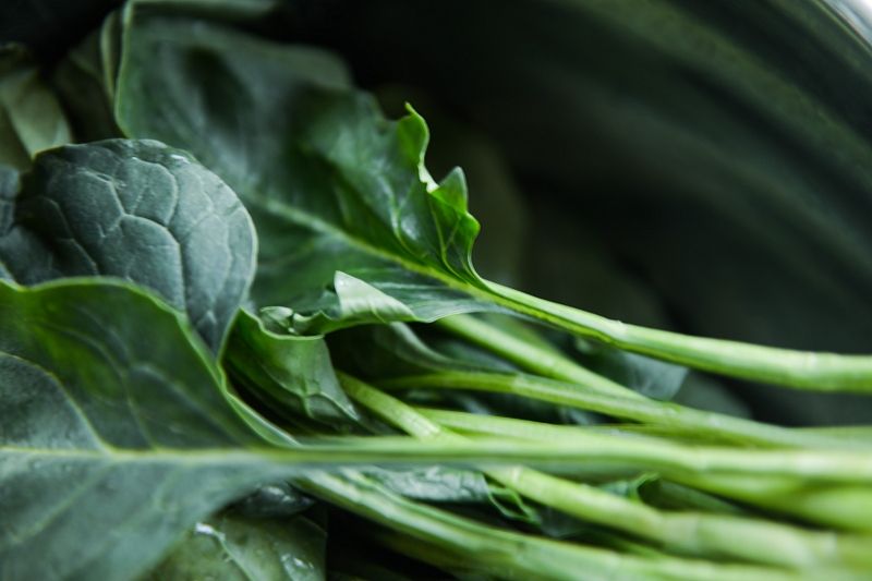 «Белая дача» вложит 1 млрд рублей в выращивание салатов в Новороссийске