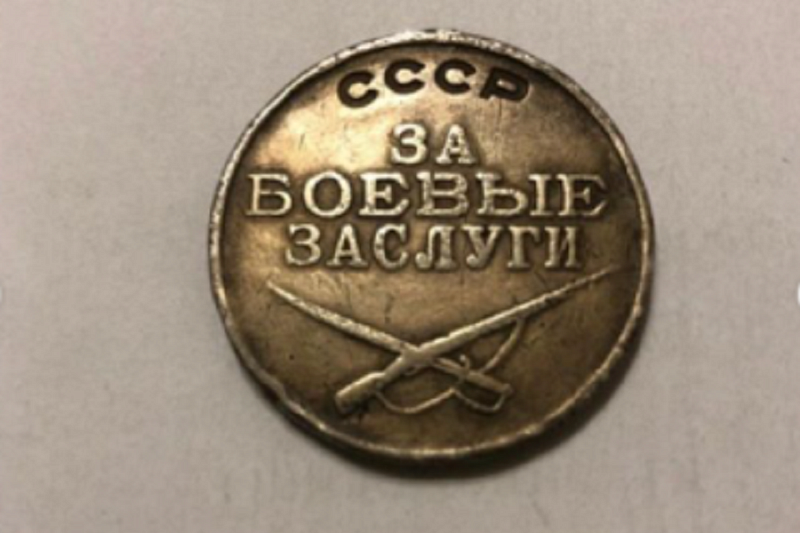 Награда ищет героя: под Новороссийском нашли боевую медаль времен Великой Отечественной