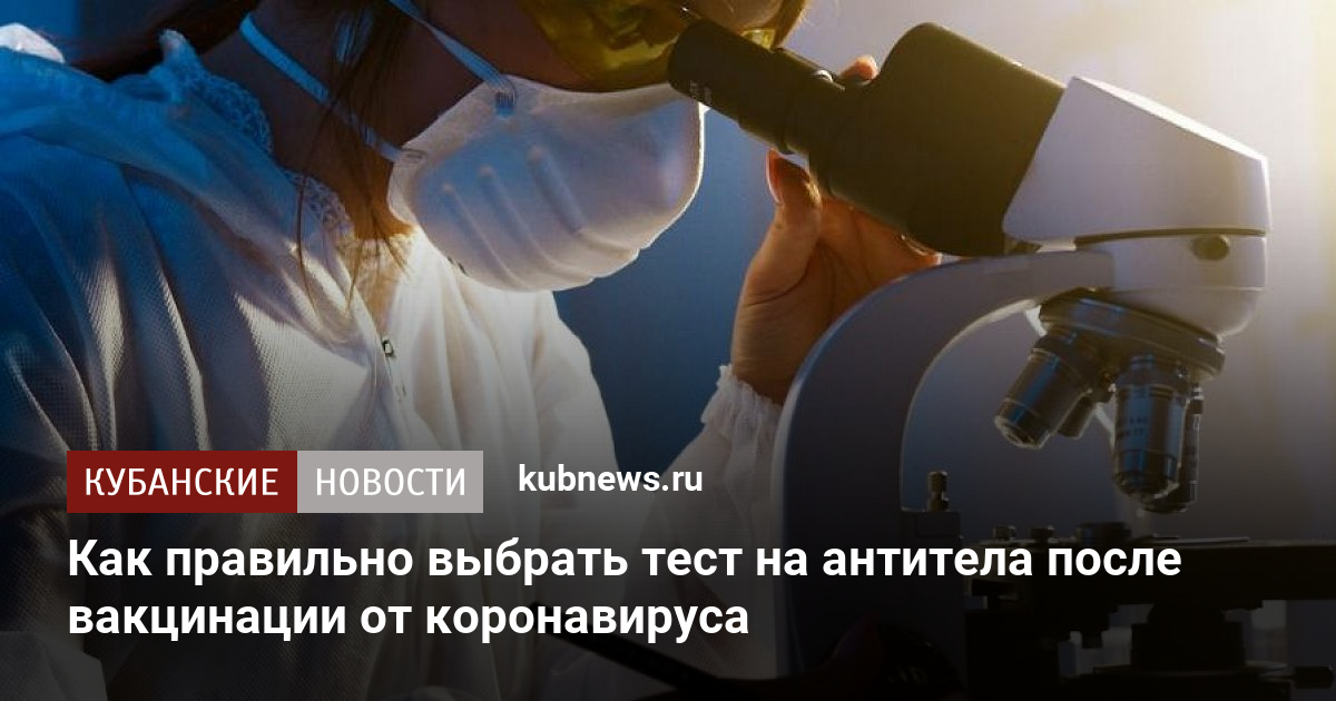 Какие антитела вырабатываются после вакцинации от ковида