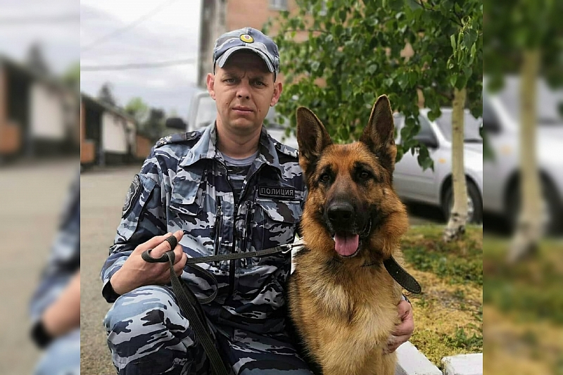 Служебная собака помогла найти теплицу с марихуаной в Краснодарском крае