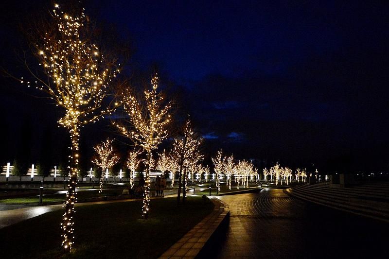 Ночью в парке сияют миллионы огоньков.