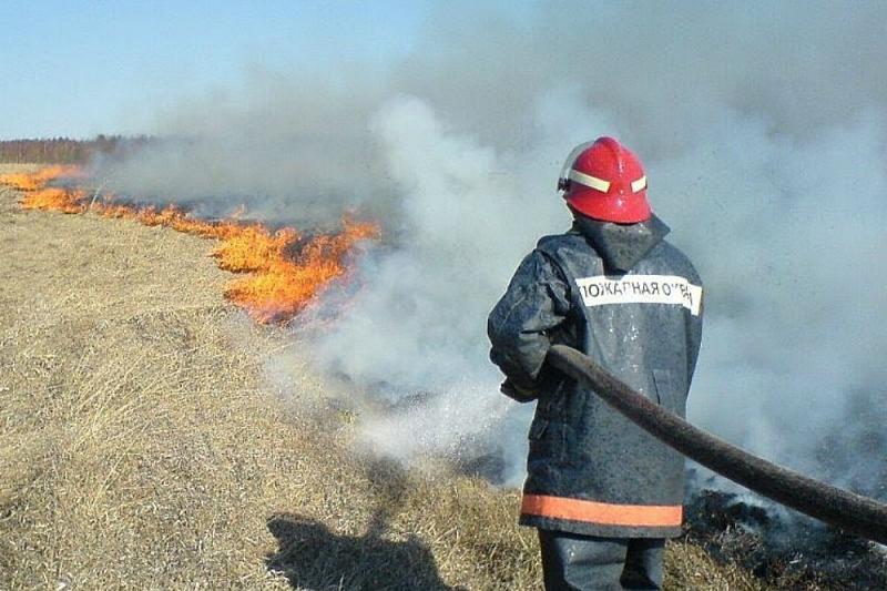 В Новороссийске за сутки четыре раза загорелась сухая трава