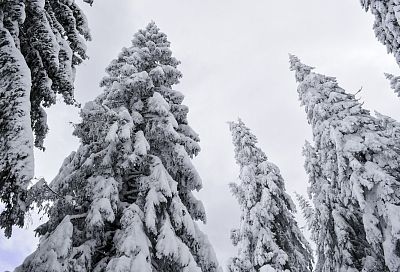 В горах Сочи ожидается снегопад